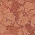 Supergres Gotha Rosso Verona Marmo Tozzetto Tmrv 6x6