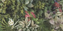 Tagina Decors Forest A 60x120