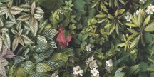 Tagina Decors Forest C 60x120