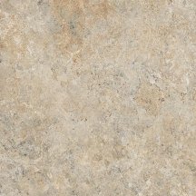 Tagina Savannah Etosha Nat Ret 60x60