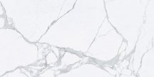 Tagina Statuario Nat Ret 120x280