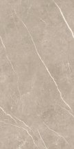 Tau Elite Greige Matt 60x120