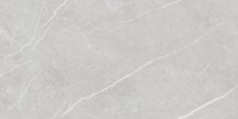 Tau Elite Silver Matt 60x120