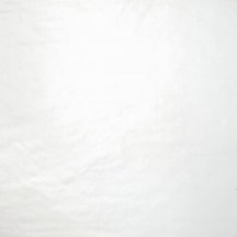 Tonalite Silk Gesso 30x30