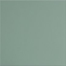 Уральский Гранит Матовая Мурена 60x60