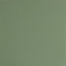 Уральский Гранит Матовая Зеленый 60x60