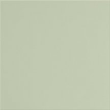 Уральский Гранит Полированная Фисташковый 60x60