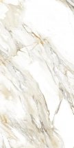 Velsaa Calacata Paonazzo 60x120