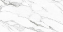 Velsaa Statuario Eva 60x120
