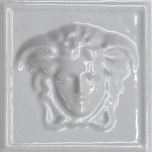Versace Emote Medusa 3D Grigio 10x10