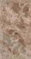 Versace Marble Classico Marrone Lapp 58.5x117.5
