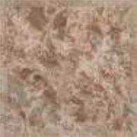 Versace Marble Classico Marrone Lapp 58.5x58.5