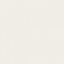 VitrA Color Ral 1009005 Ultra White Glossy 20x20