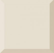 VitrA Miniworx Ral 0958010 Light Mink Metro Glossy 20x20