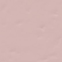 Vives Berta Rosa M 20x20