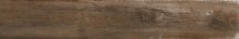 Vives Montgomery R Marron 19.2x119.3