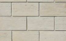 White Hills Плитка Тиволи Цвет 550-10 20x40x2.1 20x40