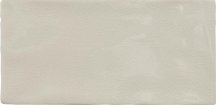 Winchester Arcadian Tern Brick 10x20
