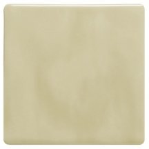 Winchester Classic Tarragon 10.5x10.5