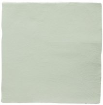Winchester Residence Arcadian Tern 13x13