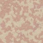 Winckelmans Porphyry Cab.5 Pink 507 5x5