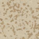 Winckelmans Porphyry Cab.5 Stone 503 5x5