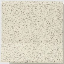 Winckelmans Speckled Par Pyrenees Pyr 10x10