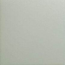 Wow Bits Square Celadon Matt 11.6x11.6