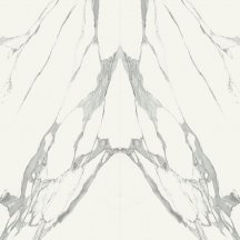 Zien Specchio Carrara A Pol 119.8x239.8