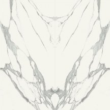 Zien Specchio Carrara B Pol 119.8x239.8