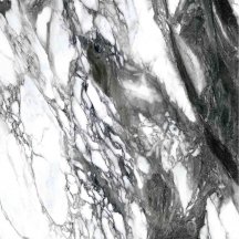 Zodiac Ceramica Porcelain Painting White Matt 120x120