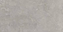 Ariana Memento Bruges Grey Ant 60x120