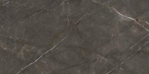 Ariostea Marmi Classici Pulpis Grey Luc 60x120