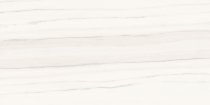 Ariostea Marmi Classici Zebrino Bianco Luc 60x120