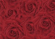 Березакерамика Престиж Роза Красный Декор 25x35