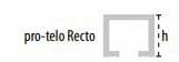 Butech Pro Telo Recto Titanium 8 1x250