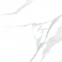 Cerdomus Statuario Bianco 60x60