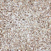 Couleurs And Matieres Terrazzo Unis Arun 30x30