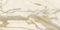 Graniti Fiandre Marble Lab Calacatta Elite Honed 30x60