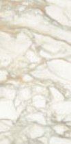 Graniti Fiandre Marmi Maximum Calacatta Dorato Lucidato 37.5x75