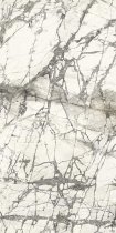 Graniti Fiandre Marmi Maximum Invisible Lucidato 37.5x75
