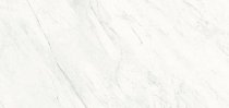 Graniti Fiandre Marmi Maximum Premium White Levigato 154x328