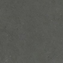 Graniti Fiandre Solida Anthracite Honed 100x100