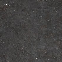 Graniti Fiandre Solida Black Honed 60x60