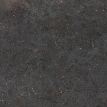 Graniti Fiandre Solida Black Strutturato 100x100