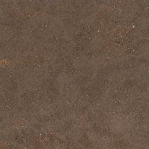 Graniti Fiandre Solida Brown Honed 100x100