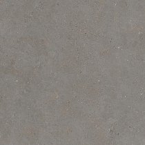 Graniti Fiandre Solida Grey Honed 100x100