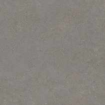 Graniti Fiandre Solida Grey Honed 60x60