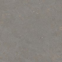 Graniti Fiandre Solida Grey Prelucidato 100x100