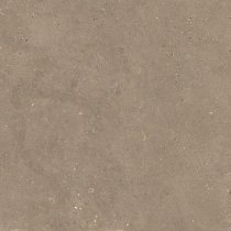 Graniti Fiandre Solida Nut Honed 100x100
